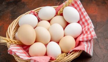 yumurta: Toyuq, Yumurtalıq