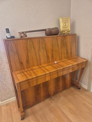 Спорт и хобби: Upright pianino – Oktava markası - Korpus: təbii taxta/kaplama — 1