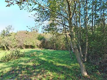 caravan satışı: 54 sot, Kənd təsərrüfatı, Kupça (Çıxarış) — 7