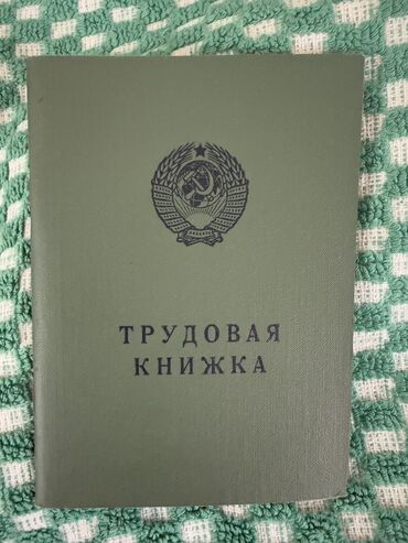 трудовая книжка: Трудовая книжка 1974 г