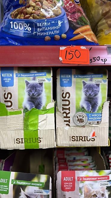 сухой поек: Цена указана за 1КГ!!! Royal Canin — сухие корма для кошек, фасовка — 10