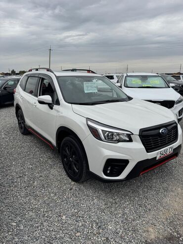 forester форестер: Subaru Forester: 2020 г., 2.5 л, Вариатор, Бензин, Внедорожник