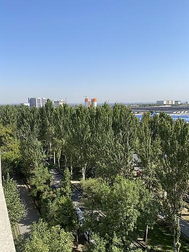 байтур квартиры: 2 комнаты, 55 м², 105 серия, 8 этаж, Свежий ремонт — 10