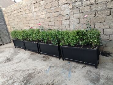 Sifarişlə digər bağ mebeli: Taxta məmulatları və həyət/perqola konstruksiyaları - Mətbəx üçün — 20