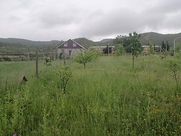 Torpaq sahələrinin satışı: 35 sot, Mülkiyyətçi, Kupça (Çıxarış) — 1