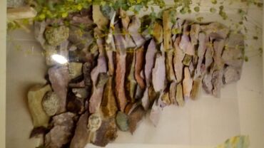 Fasad işləri: Shalale,cay,gol,ere dosheme,xasarlara ve evin fasadina tebii ve tokme — 4