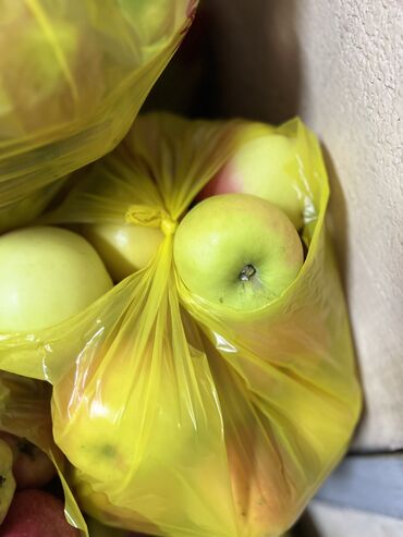 Яблоки: Яблоки Оптом — 10