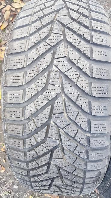 Транспорт: Шины 215 / 45 / R 17, Зима, Б/у, 1 шт, Легковые, Корея, Nexen — 3