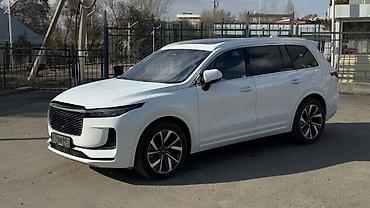 Lixiang: Lixiang One: 2021 г., Гибрид, Кроссовер — 15