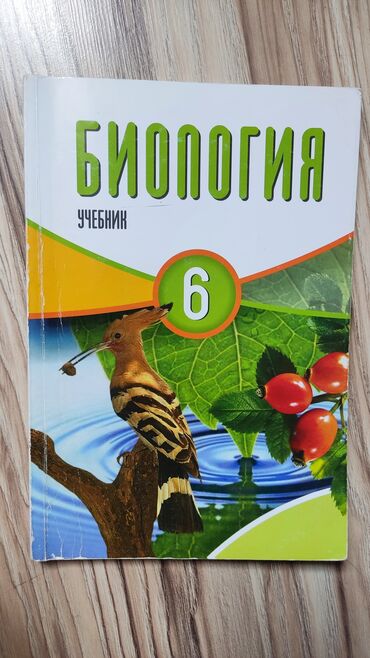 упражнения по математике 6 класс намазов скачать: Биология 6 класс, 2022 год, Самовывоз