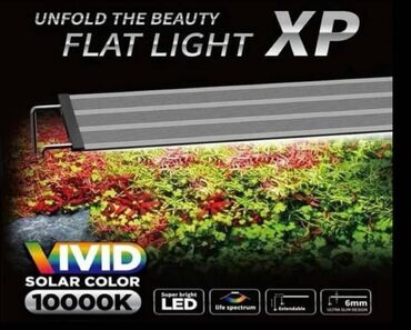 atman df 1300: Led Lampa Full Spectrum Neo Helios XP 900 (48w) Suitable Tank size