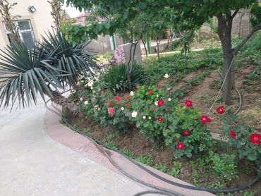 Həyət evləri və villaların satışı: 5 otaqlı, 176 kv. m, Yeni təmirli — 2