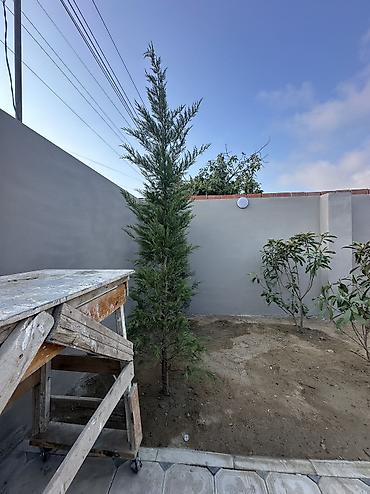 bakıda ev: Saray, 115 kv. m, 3 otaqlı, Hovuzsuz, Kombi, Qaz, Su — 6