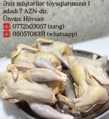 Молочные продукты и яйца: Məhsul: Təmizlənmiş bütöv toyuq (qəpiksiz, baş-ayaq çıxarılmış) -