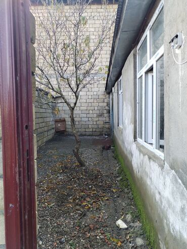 Uzunmüddətli kirayə evlər: 32 kv. m, 2 otaqlı, Qaz, İnternet, Artezian quyusu — 18