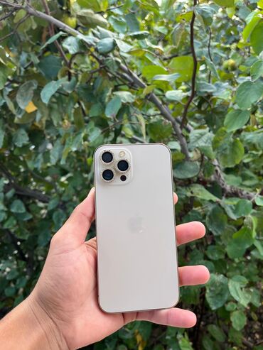 iphone 14 pro 2 ci el: IPhone 12 Pro Max, 512 GB, Matte Gold