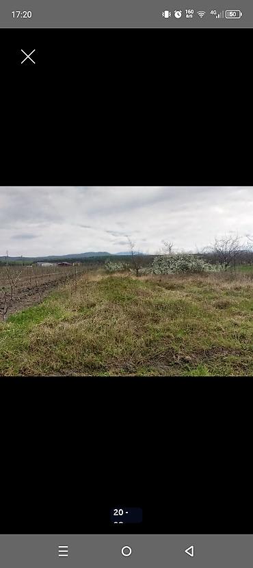 Torpaq sahələrinin satışı: Kənd təsərrüfatı — 19