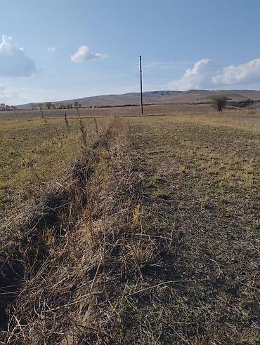 с участком: 150 соток, Для сельского хозяйства, Договор дарения — 1