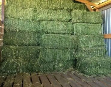 драбилка для сена: Сено в тюках в наличии на складе минимальный заказ 500 тюков по
