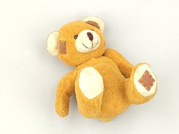 Mascot Teddy bear, condition - Very good