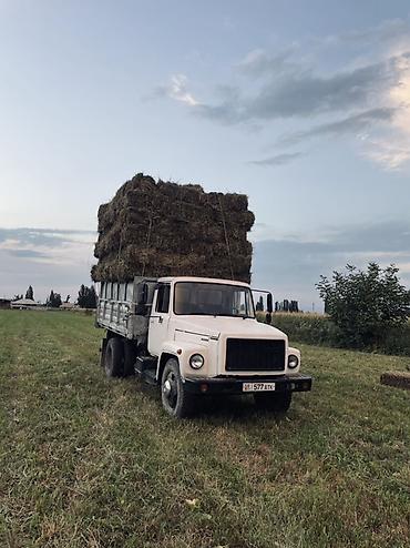 унаа сатуу: ГАЗ : 2008 г., 4.7 л, Кол менен иштөөчү, Дизель, Пикап — 1