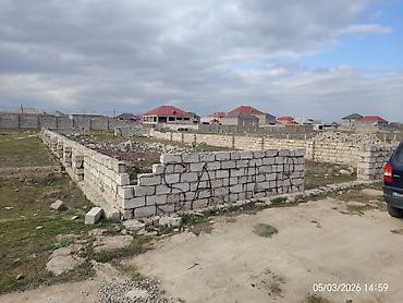 бина пз: 4 соток, Для сельского хозяйства, Купчая — 6
