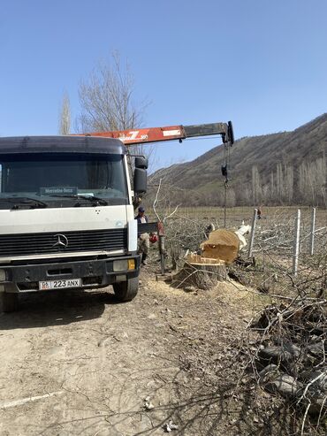 Автокраны: Автокран, Mercedes-Benz, 1995 г., до 9 м — 9