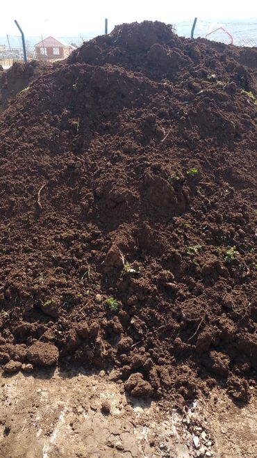 Ağaclar: Hər vaxtınız xeyir olsun dəyərli müştərilərimiz. Bizə vaxt ayırdığınız — 13