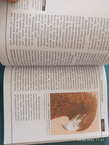 Digər kitablar və jurnallar: Kitab piroqrafiya — 7