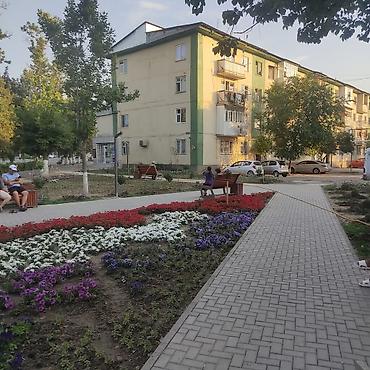 nova grant: 2 комнаты, 47 м², Зайнабетдинов мкр., 103 серия, 4 этаж, Свежий ремонт — 5