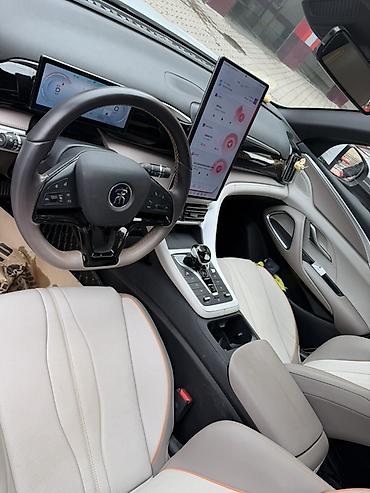 BYD: BYD Song Plus: 2024 г., 1.5 л, Автомат, Гибрид, Кроссовер — 10