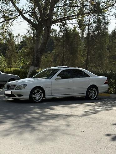 e klass: Mercedes-Benz S-class AMG: 2004 г., 3.7 л, Автомат, Бензин, Седан — 2