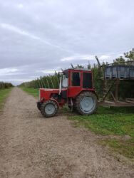 Traktorlar: Başlıq: Salam qiymətlə bağlı narahat etmeyin qiymət sondur Təsvir — 7