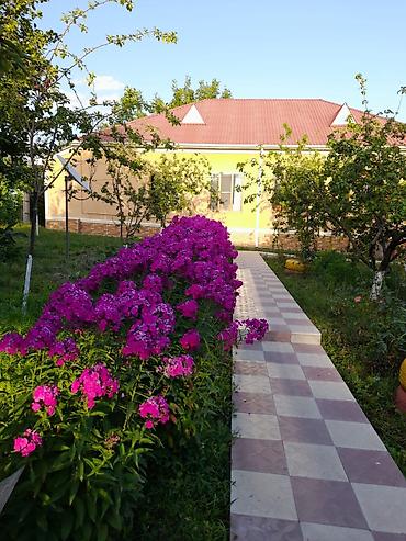 bayil heyet evi: İcarəyə təqdim olunur: geniş həyətli, eyvanlı ev 3 yatax otaxı 1 dene — 8
