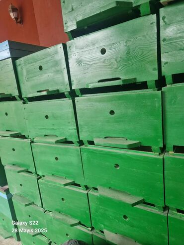 Arı yeşikləri: Arıçılıq üçün taxta pətək korpusları və qapaqları Məhsul təsviri: - — 5