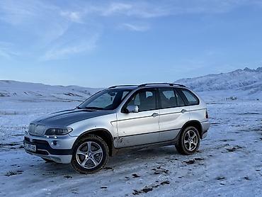 BMW: BMW X5 M: 2003 г., 3 л, Автомат, Дизель, Кроссовер — 4