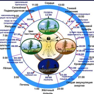 Массаж: Массаж | Спортивный, Лимфодренажный, Детский | Остеохондроз, Межпозвоночная грыжа, Протрузия | С выездом на дом, Консультация