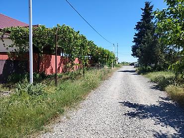 qubada torpaq satışı: 63 sot, Tikinti, Mülkiyyətçi, Kupça (Çıxarış) — 8