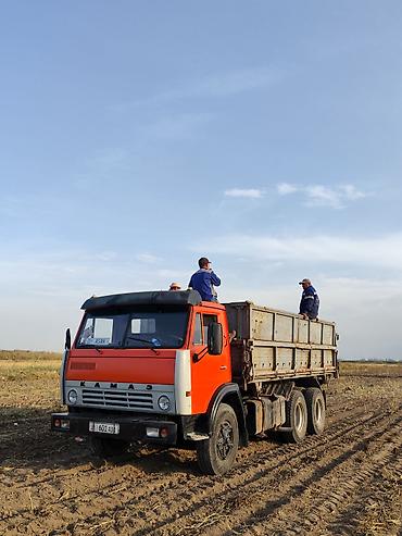 переделка в самосвал: Грузовик, Камаз, Стандарт, 7 т, Б/у — 3