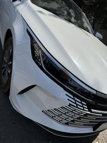 BYD: BYD Destroyer 05: 1.5 l | 2024 il 10000 km Sedan — 7