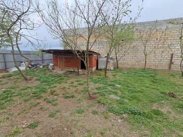 Həyət evləri və villaların satışı: 6 otaqlı, 170 kv. m, Kredit yoxdur, Yeni təmirli — 4