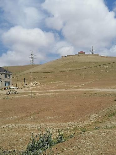 torpaq buzovna: 8 sot, Tikinti, Mülkiyyətçi, Kupça (Çıxarış) — 3