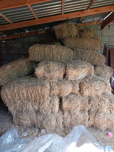 корм животным: Продаю сено 
брал для себя продаю потому что лишнее