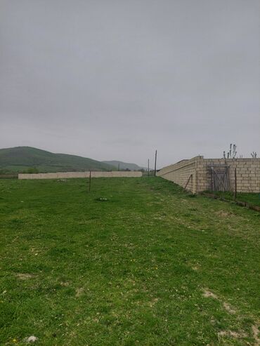 Torpaq sahələrinin satışı: 31 sot, Kənd təsərrüfatı, Kupça (Çıxarış) -da lalafo.az — 12 Torpaq sahələrinin satışı: 31 sot, Kənd təsərrüfatı, Kupça (Çıxarış) — 12