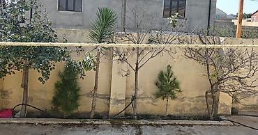 Qonaq otağı dəstləri: Klassik üslubda qonaq otağı dəsti Mebel komplekti: - 3 nəfərlik geniş — 33