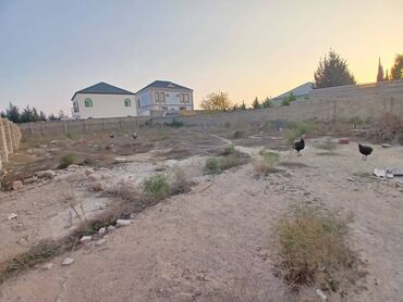 Torpaq sahələrinin satışı: 15 sot, Makler, Kupça (Çıxarış) — 7