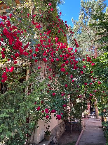 Иссык-Куль 2026: Номер, ГД Султан Бостери, Барбекю, Детская площадка, Закрытый пляж — 11