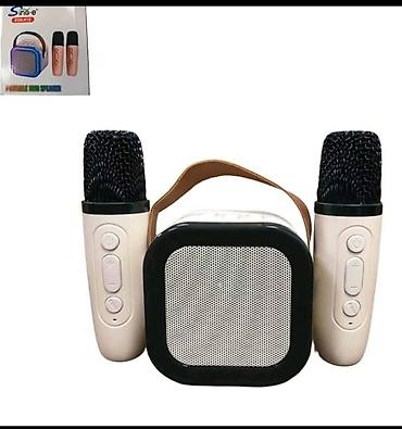 pegla za putovanja: Prenosni karaoke zvučnik Smart Led Rgb + 2 mikrofona Cena 2000 dinara — 1