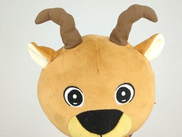 Mascot condition - Very good