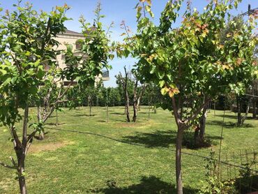 Uzunmüddətli kirayə evlər: 100 kv. m, 2 otaqlı — 4